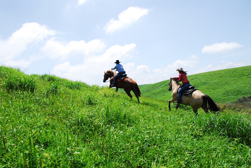 El Patio Ranch Premium Stay Kyushu